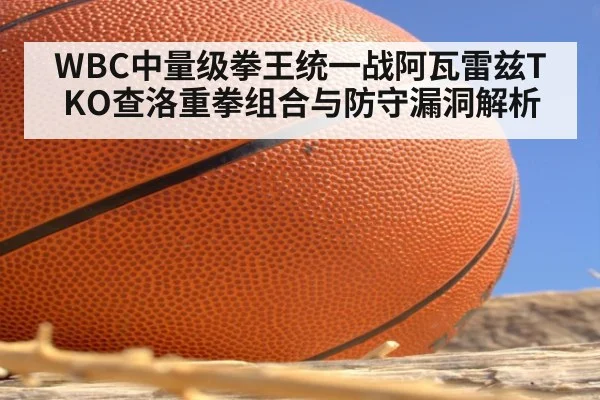WBC中量级拳王统一战阿瓦雷兹TKO查洛重拳组合与防守漏洞解析