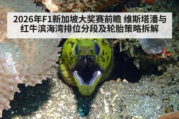 2026年F1新加坡大奖赛前瞻 维斯塔潘与红牛滨海湾排位分段及轮胎策略拆解